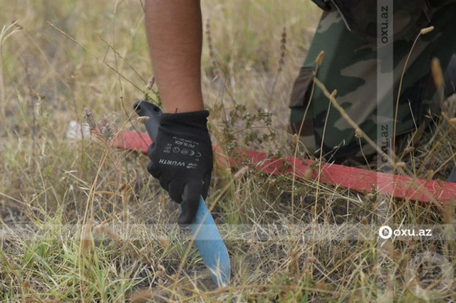 Обнародовано число мин, обнаруженных на освобожденных территориях на прошлой неделе